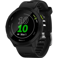 Smartwatch Garmin Forerunner 55